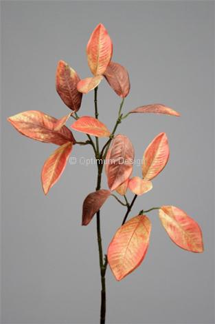 Branche laurier orange