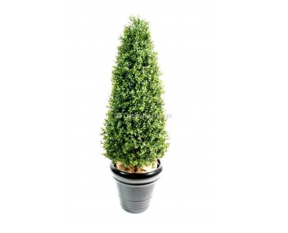 Buis topiaire 70, 130, 183 et 210 cm