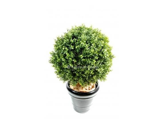 Buis boule en pot 33, 45, 72 et 100 cm