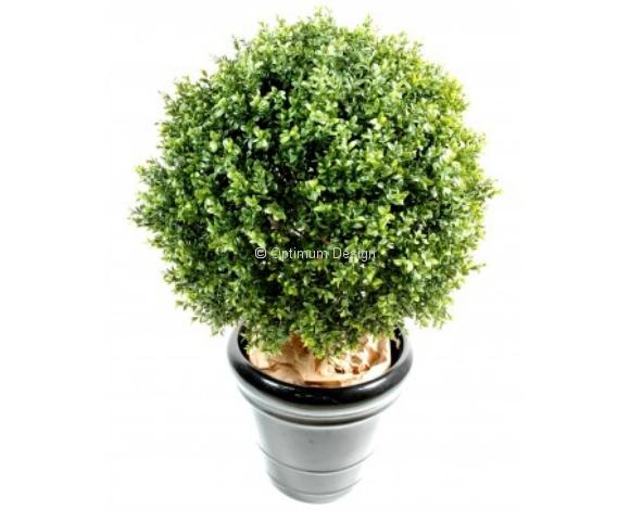 Buis boule vert en pot pvc