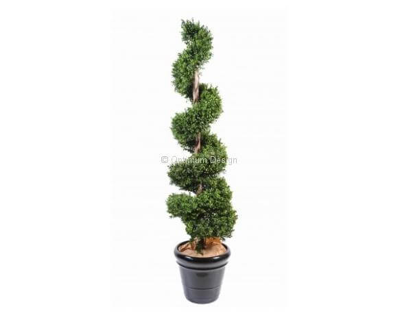 Buis spirale 140, 150 et 180 cm