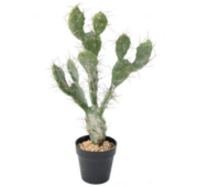 Cactus méditerranée 58 cm
