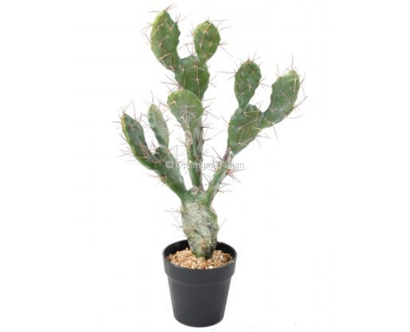 Cactus méditerranée 58 cm
