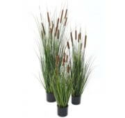 Cattail d'eau 115 cm