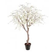 Cerisier fleur blanche 280 cm