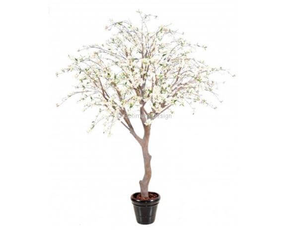 Cerisier fleur blanche 280 cm
