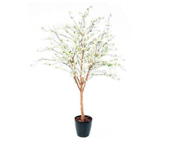 Cerisier fleur blanche large 280 cm