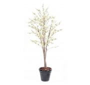 Cerisier fleur blanche en pot 210 cm
