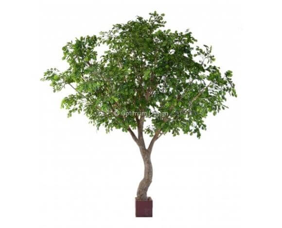 Chêne 350, 490 et 620 cm avec tronc en fibre et pot en bois