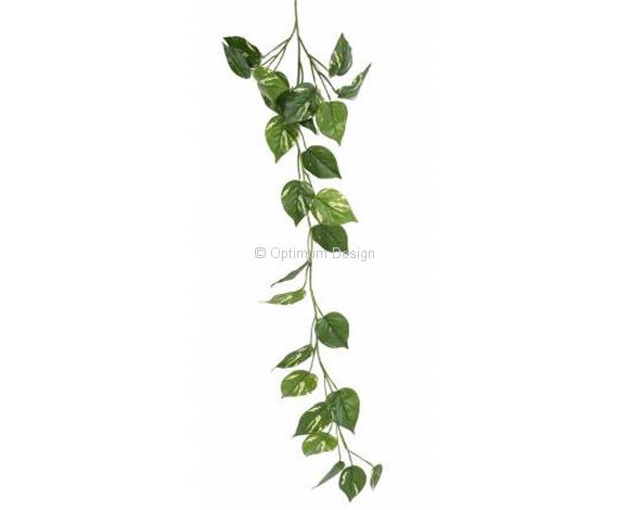 Pothos 110 cm