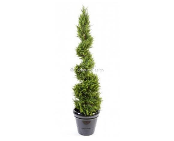 Cyprès jardinière spirale vert 130 et 160 cm