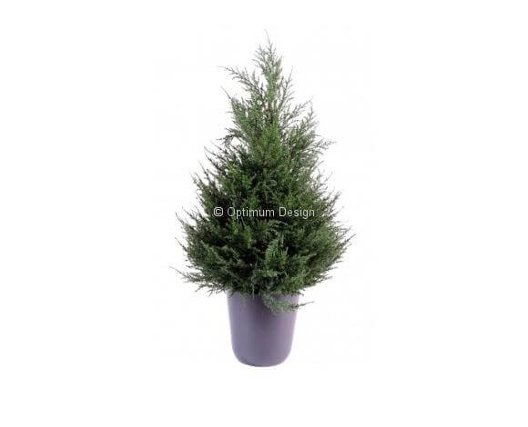 Cyprès jardinière vert 65, 105, 135 et 160 cm