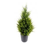 Cyprès jardinière vert clair 65, 105, 135 et 160 cm