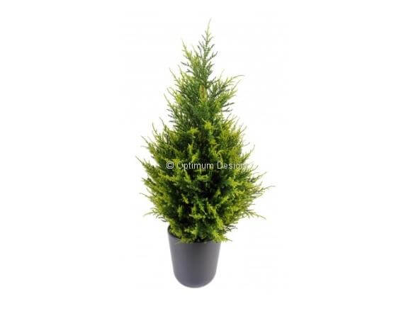 Cyprès jardinière vert clair 65, 105, 135 et 160 cm