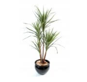 Dracena artificiel 110 et 160 cm