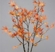 Branche érable orange