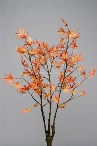 Branche érable orange