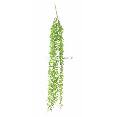 Eucalyptus 105 cm