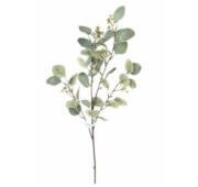 Eucalyptus spray 90 cm