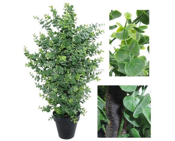 Eucalyptus vert en pot 65 cm
