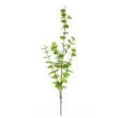 Eucalyptus vert 95 cm