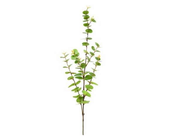Eucalyptus vert 95 cm