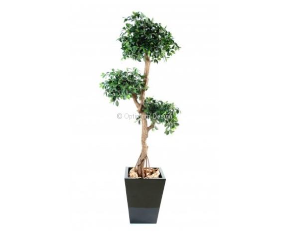 Ficus 3 boules 150 et 180 cm