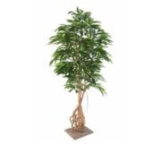 Ficus root longifolia 210 cm