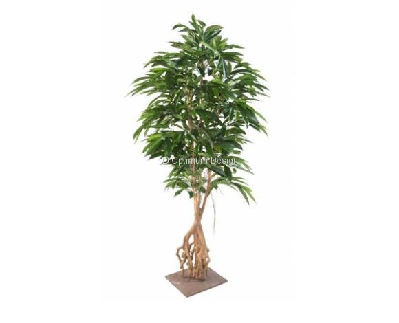 Ficus root longifolia 210 cm