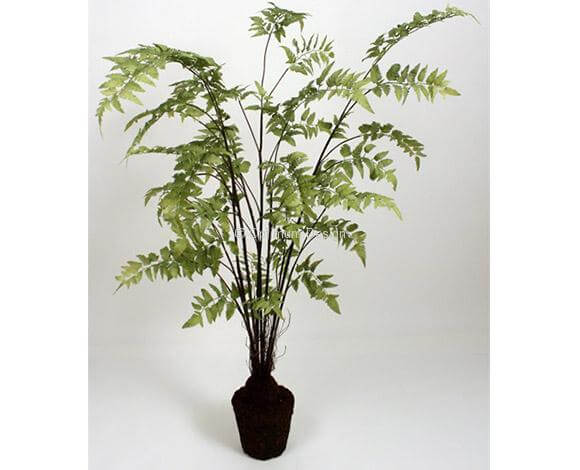 Fougère 150 cm