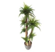 Arbre fougère 145 cm