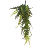 Fougère 55 cm