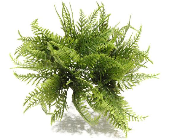 Fougère piquet 80 cm