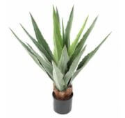 Furcraea vert 80 cm