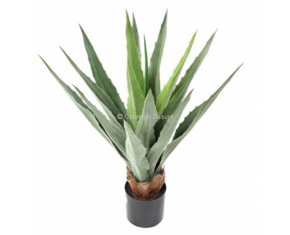 Furcraea vert 80 cm