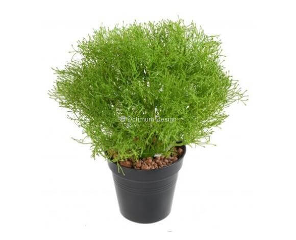 Gypso 30 cm