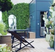 habillage-mural-lierre-particulier