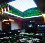 habillage-mural-liseron-restaurant