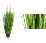 Herbe dune 50 cm