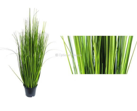 Herbe dune 50 cm