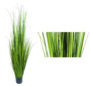 Herbe sauvage 120 cm