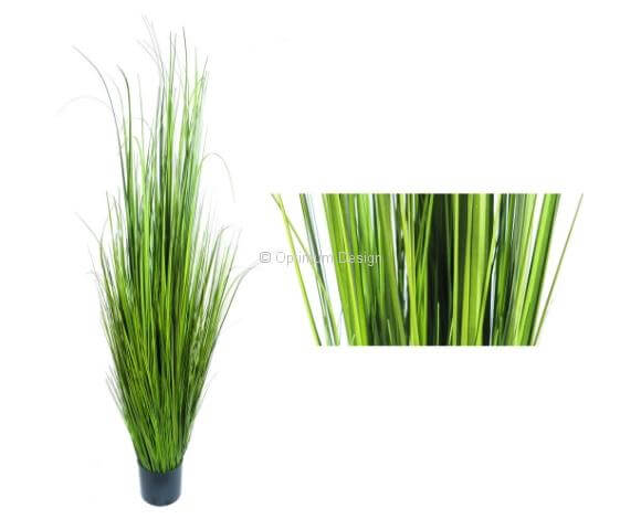Herbe sauvage 120 cm