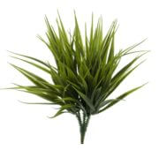 Herbe sauvage 22 cm