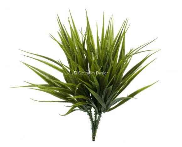 Herbe sauvage 22 cm