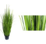 Herbe sauvage 50 cm