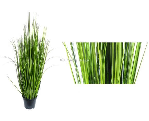 Herbe sauvage 50 cm