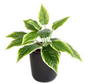 Hosta artificiel 30 cm