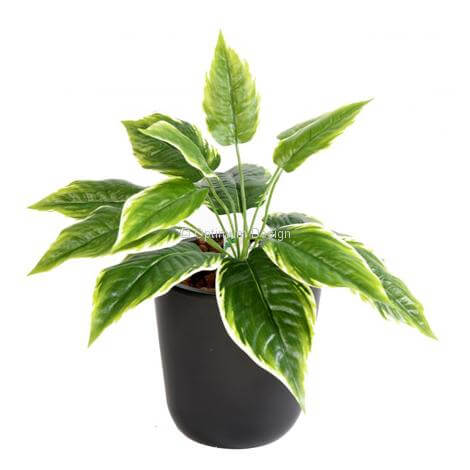 Hosta artificiel 30 cm