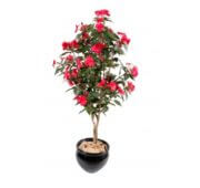 Impatiens rose rouge 110 cm