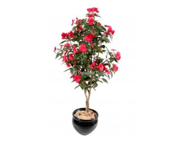 Impatiens rose rouge 110 cm